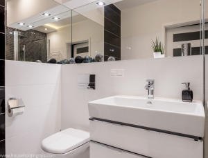 Bathroom Layout with Mirrored Wall