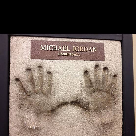 How big are michael Jordan hands