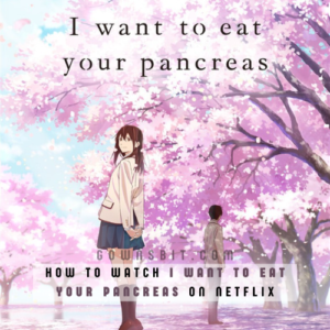 I Want to Eat Your Pancreas Netflix, Story, Cast, Release Date