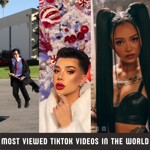 Most Viewed TikTok Videos in the World