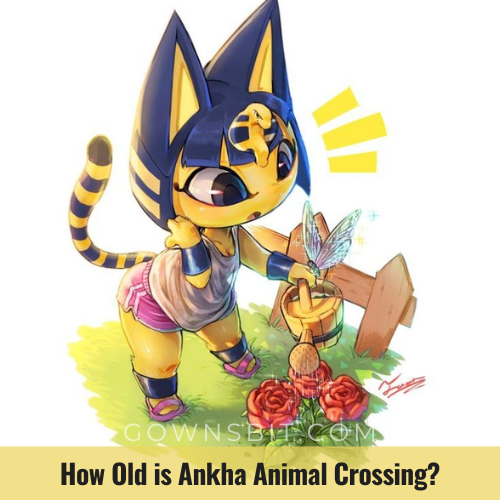 How Old is Ankha Animal Crossing Things You Should Know