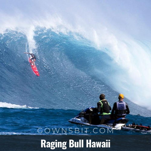 Raging Bull Hawaii Things You Should Know About It